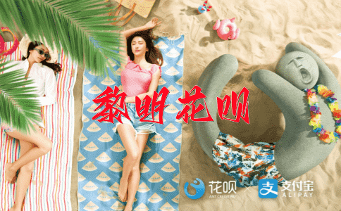 副总理花呗
